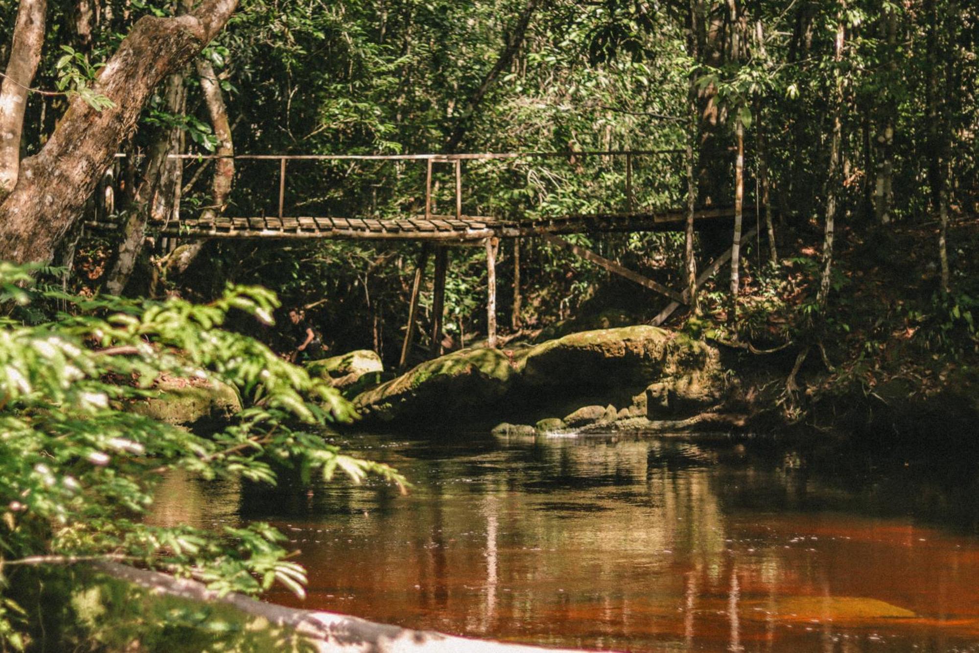 Refugio Mari Mari Lodge เปรสซิเดนเต ฟิเกเรโด ภายนอก รูปภาพ